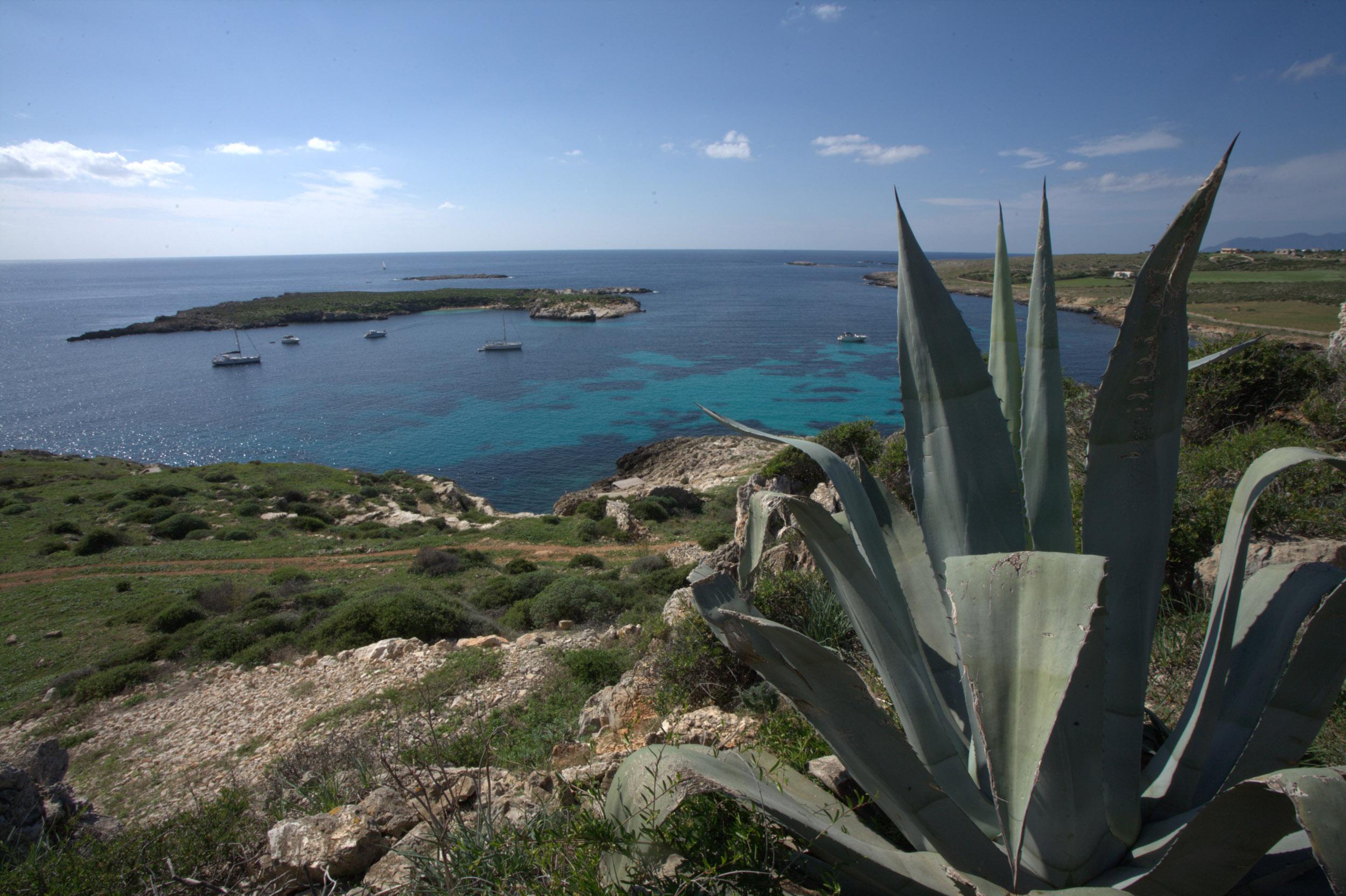 Appartement Nido Del Pellegrino à Favignana Extérieur photo