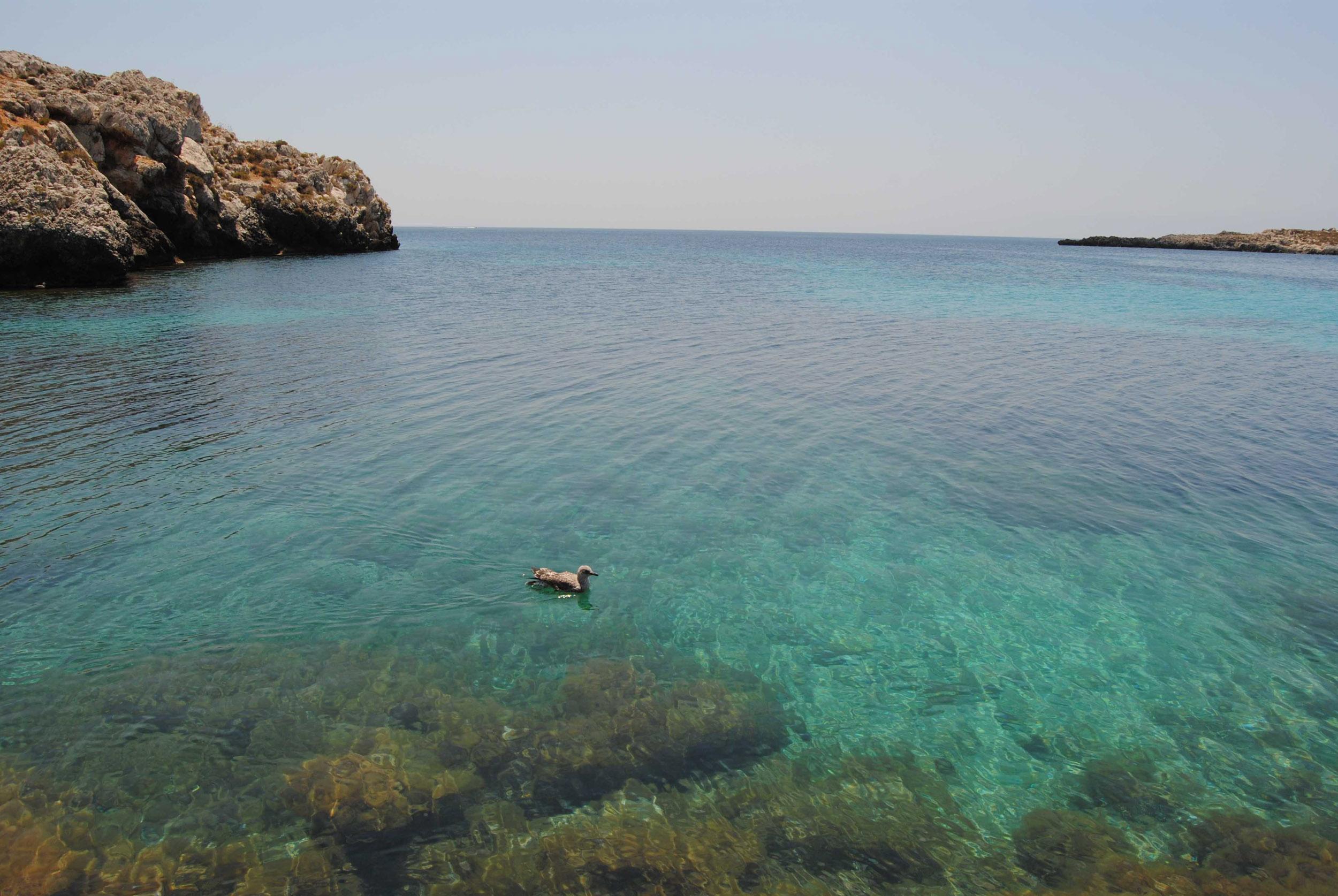 Appartement Nido Del Pellegrino à Favignana Extérieur photo